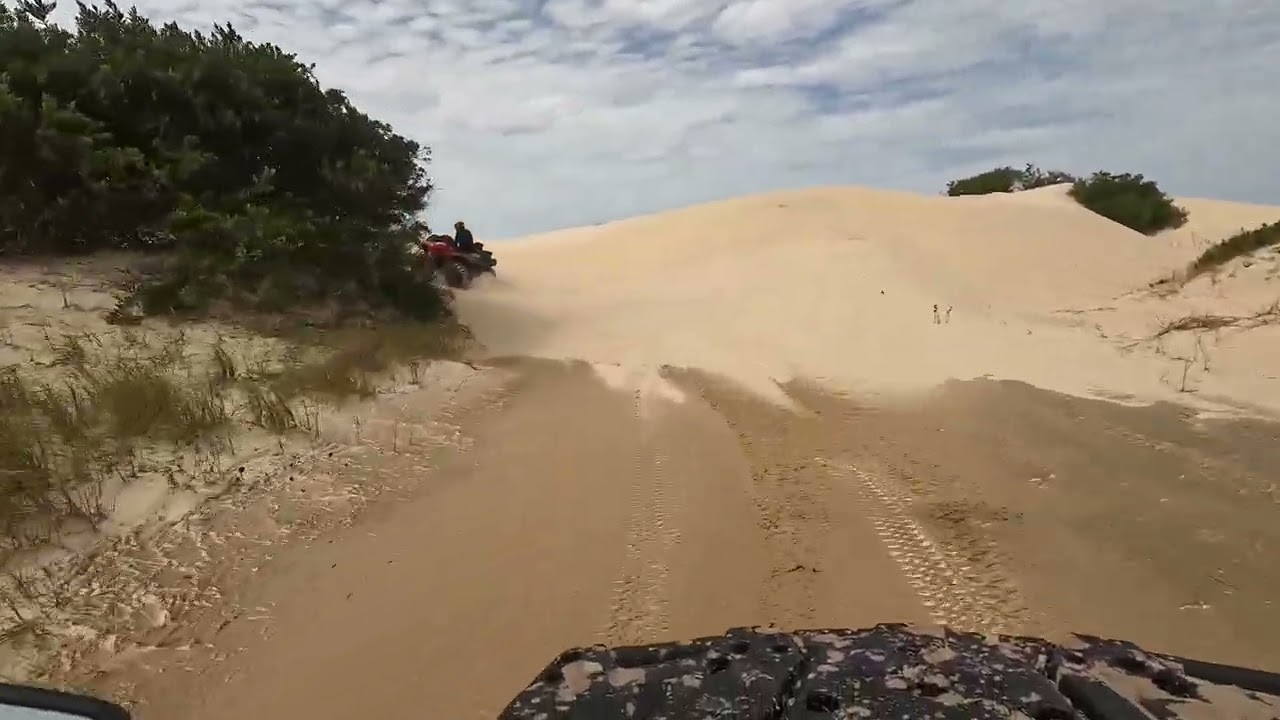 Banda Tuia CForce 520 cc