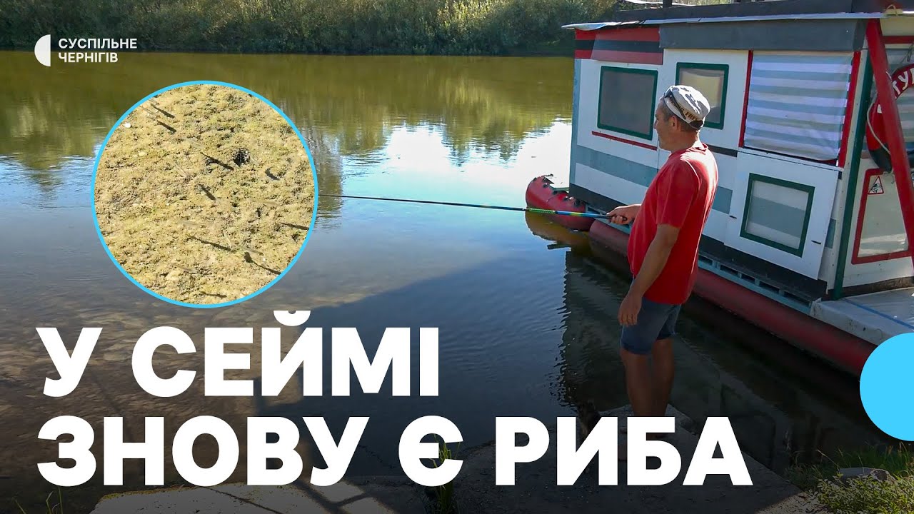 У річці Сейм на Чернігівщині відновлюється кількість риби після мору, який виник через забруднення