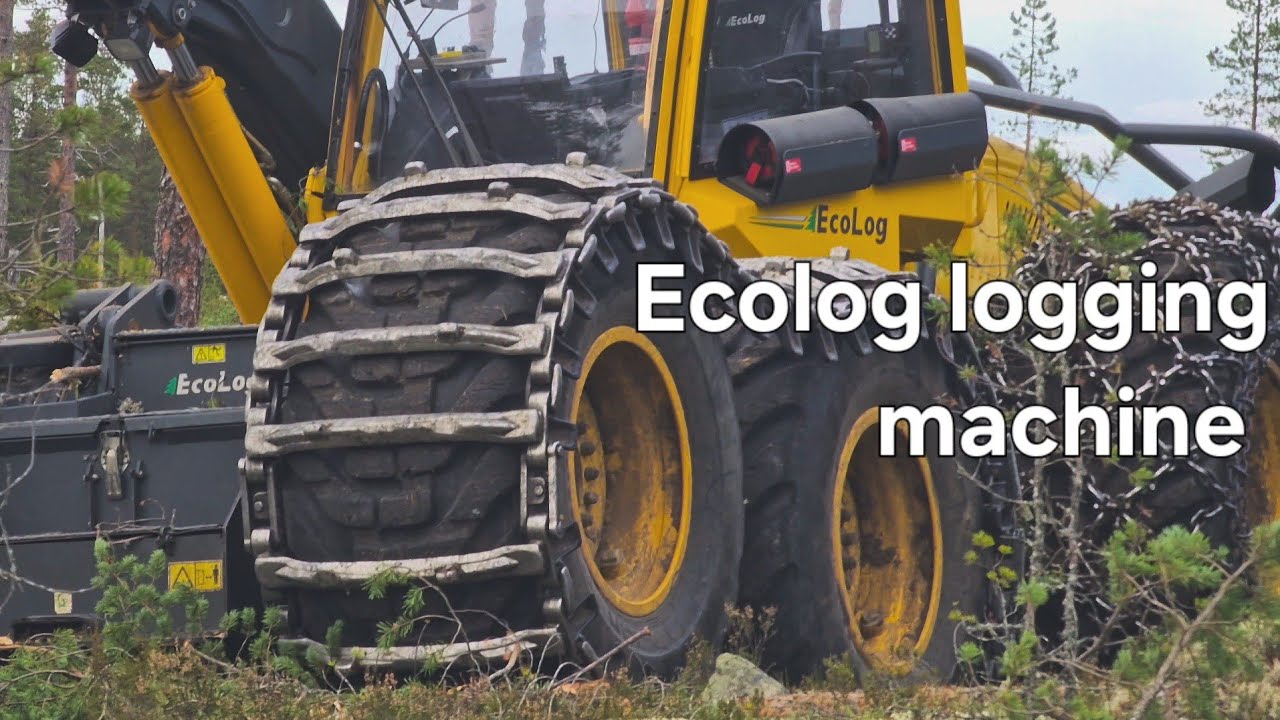 Ecolog logging Machine in Swedish production forest 