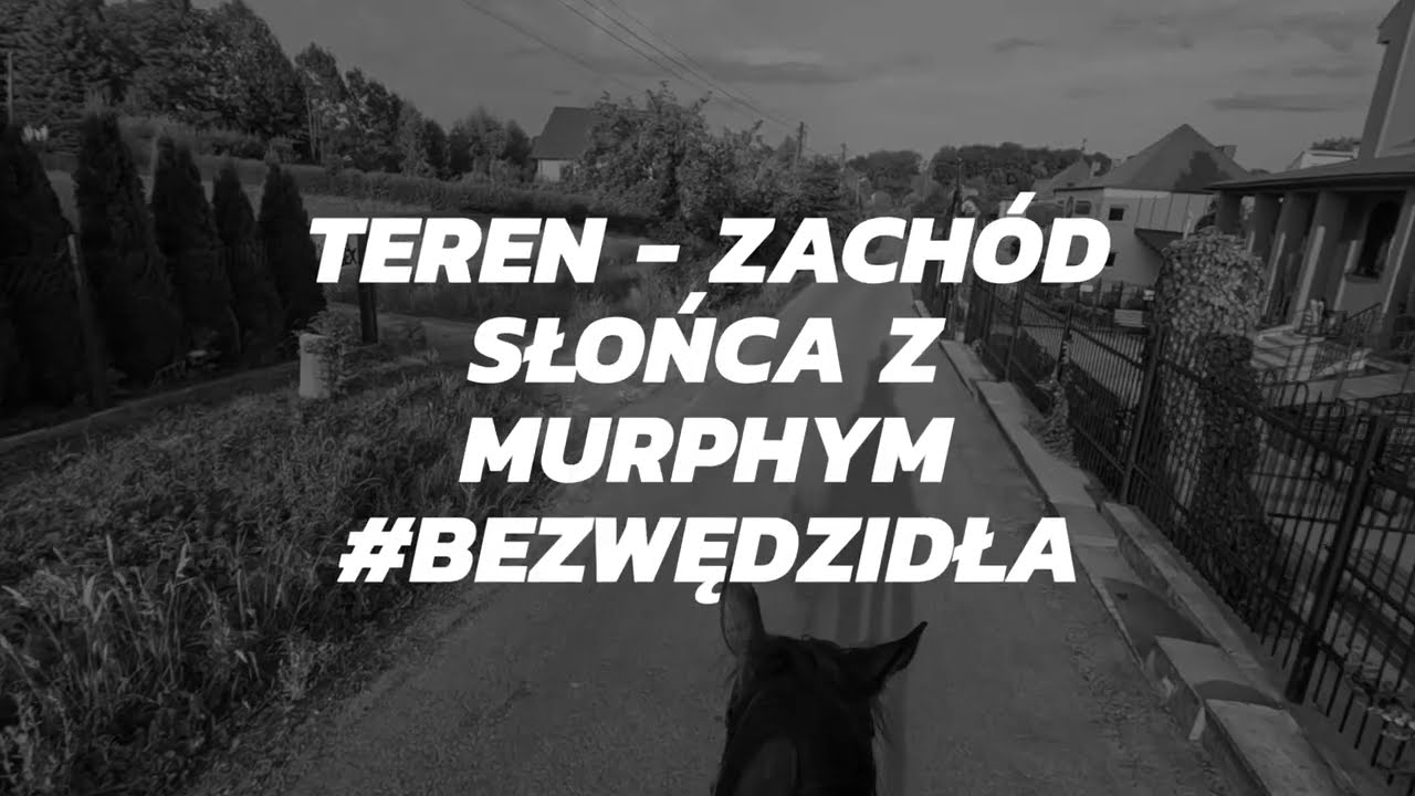 Teren z Murphym #bezwędzidła - Stajnia na Zielonej Konary