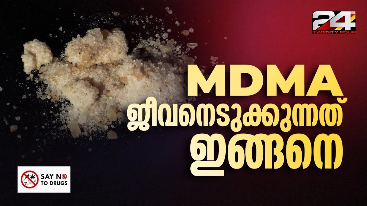 എന്താണ് MDMA ? രാസലഹരി ശരീരത്തിൽ പ്രവർത്തിക്കുന്നത് എങ്ങനെ ? | 24 Explainer