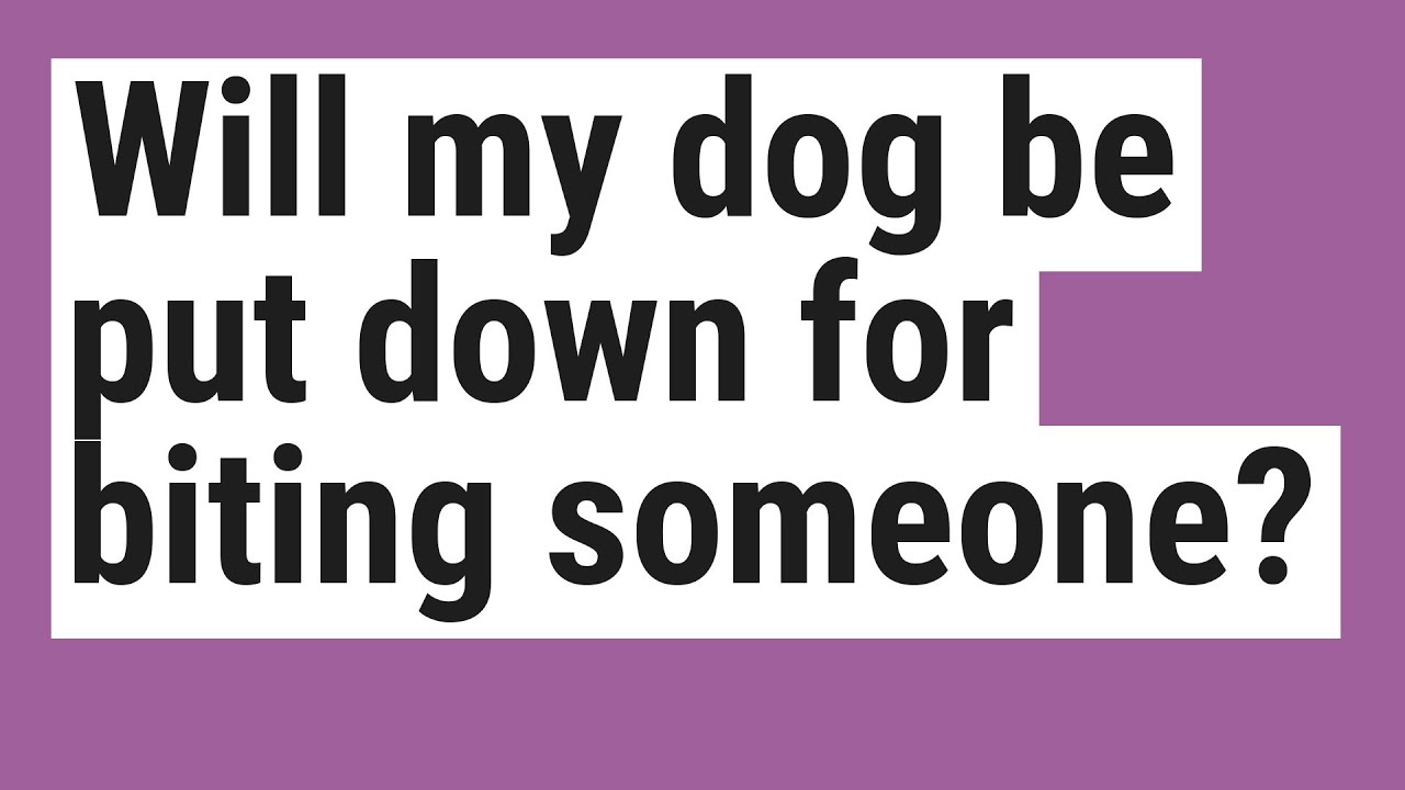 Will my dog be put down for biting someone?