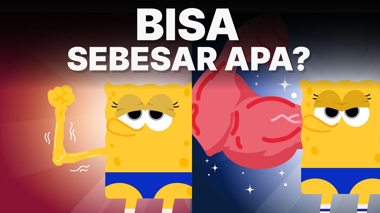 Bagaimana Sebenarnya Otot Bisa Tumbuh?