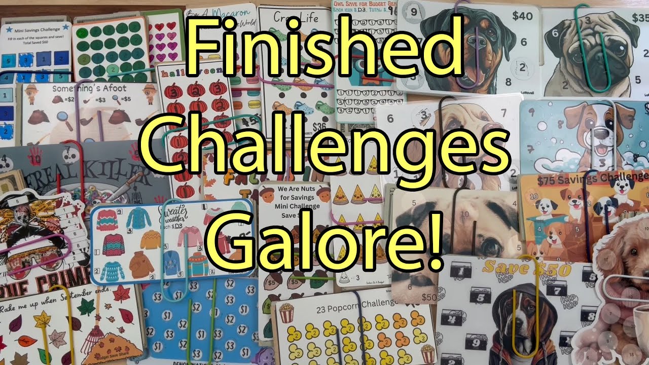 Stuffing Finished Challenges Into Sinking Funds | EF | Diego | Goals | Low Income | Counting Cash