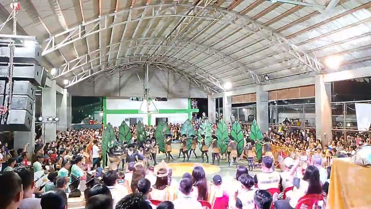 MASULOG FESTIVAL 2024 | PUROK 5 | Maslog, Sibulan, Negros Oriental