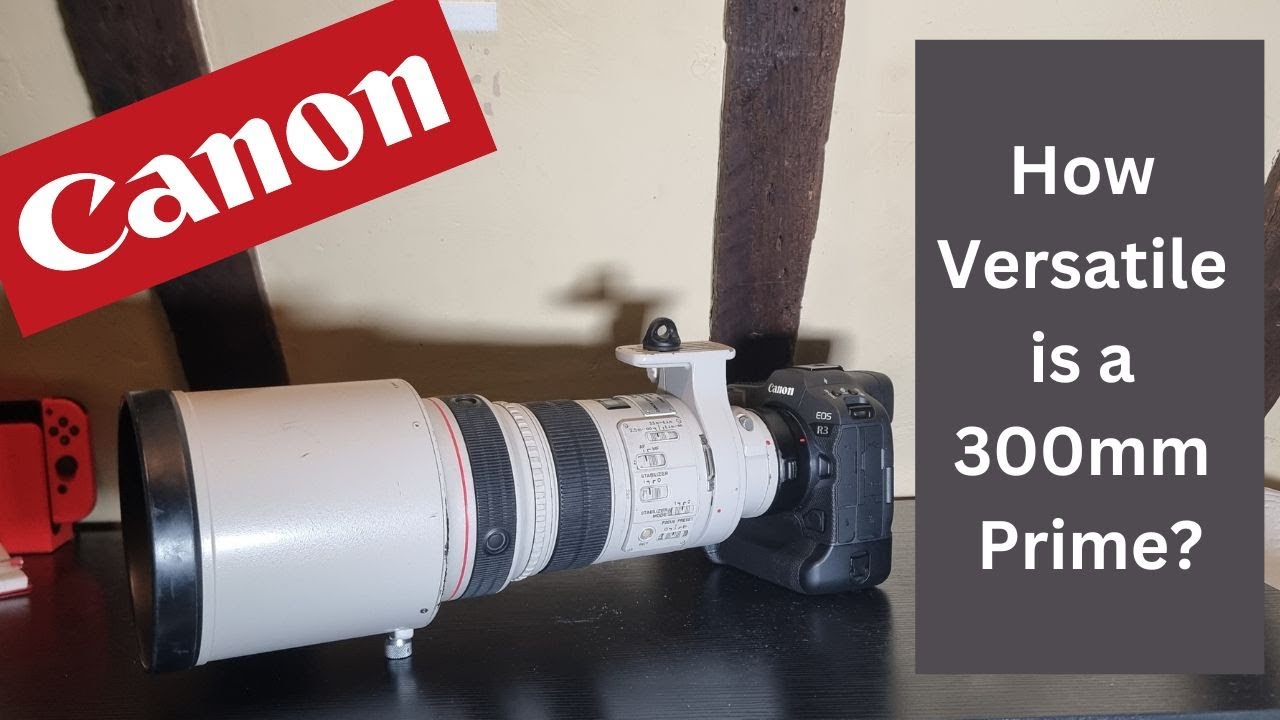 How Versatile is a 300mm Prime - Canon 300mm f2.8 mki