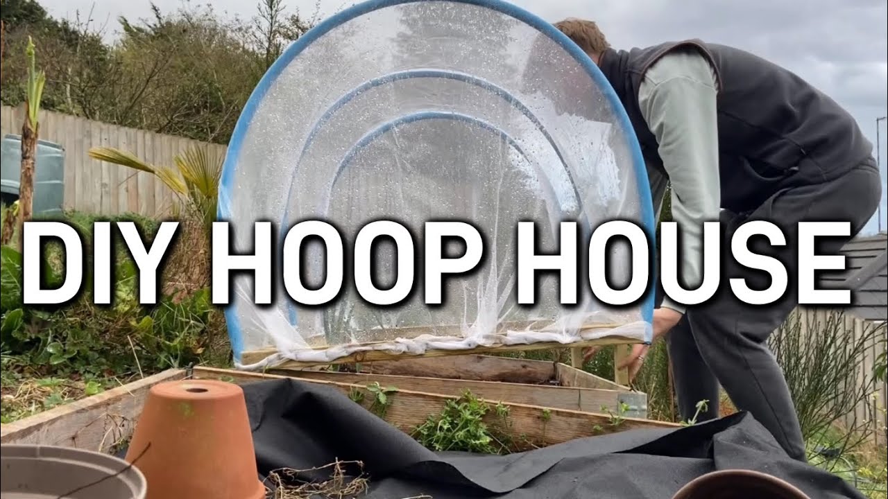 NO MORE SLUGS! | Spring progress