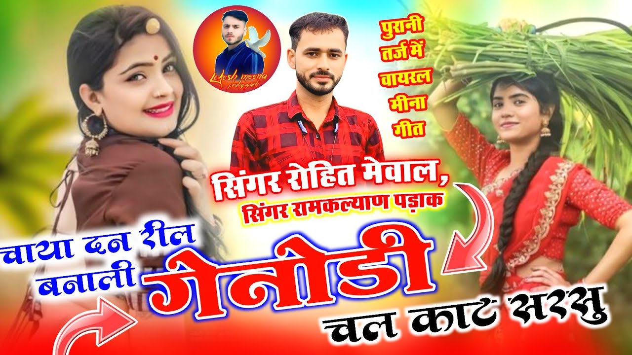 Rohit Mewal Meena Song !! चाया दन रिल बणा ली गेनोडी चल काट सरसु !! लावणी पर शानदार मीणा गीत 