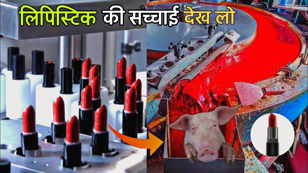 देखिए फैक्टरी में लिपस्टिक कैसे बनती है |Lipstick Kaise Banta Hai | How Lipstick is Made in Factory