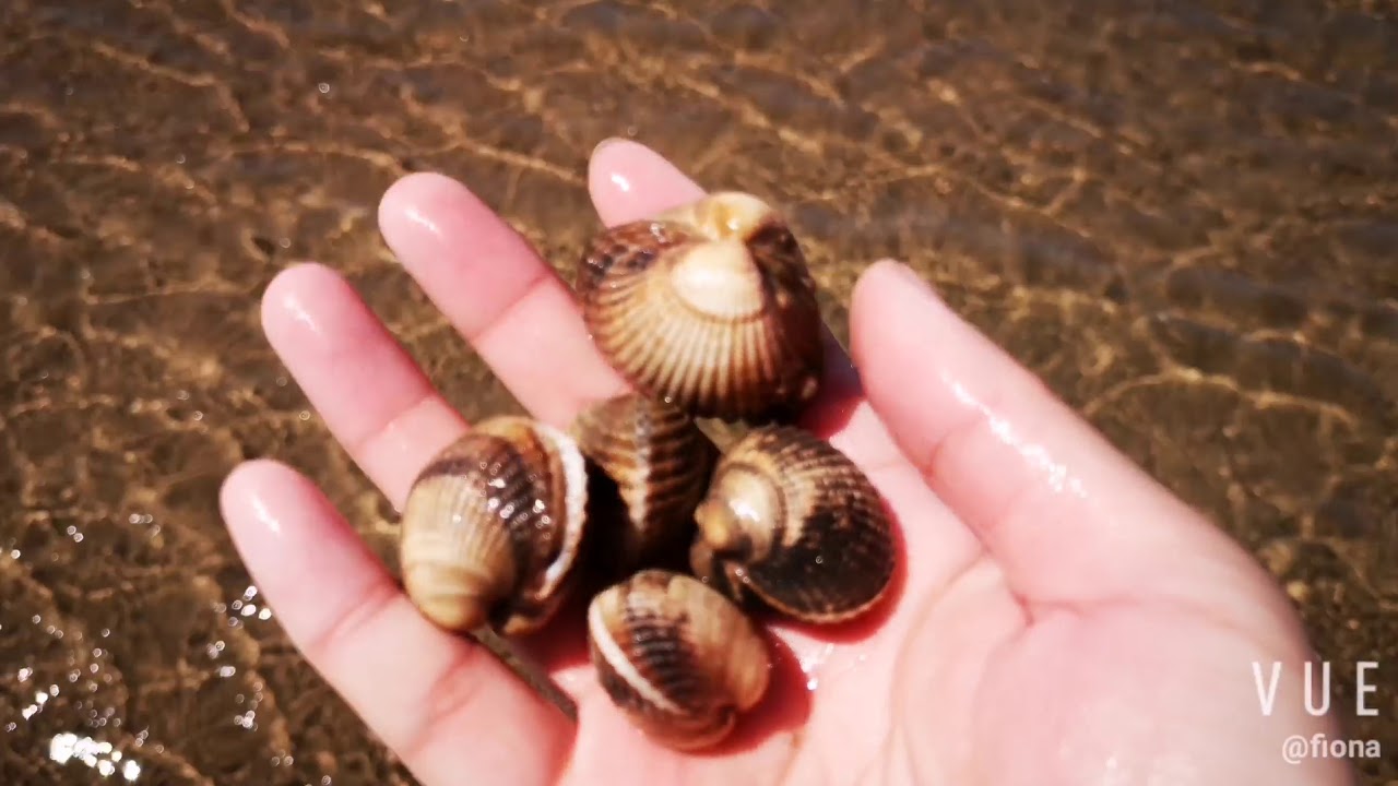 第一次去利物浦赶海 还遇到被救援队救