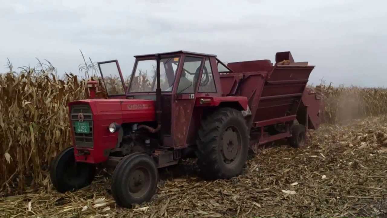 Corn harvest/Kukorica szedés/Bербе кукуруза 2013
