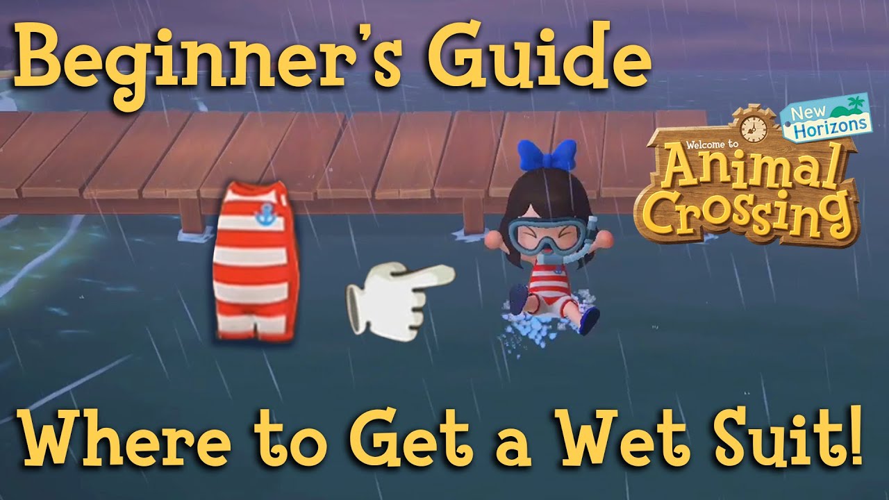 Beginner's Guide: Where to Buy a Wet Suit!