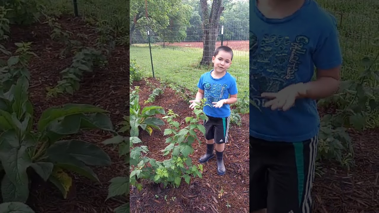 Southwest Georgia garden tour part 1