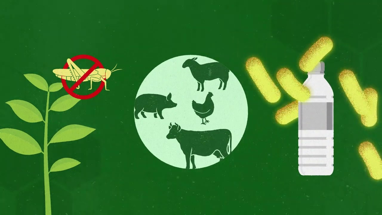8 типов биотехнологий с пояснениями