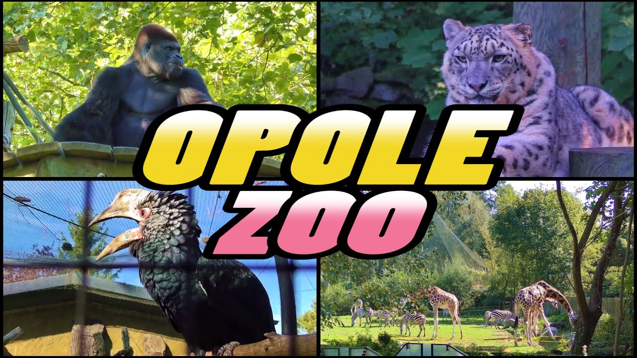 ZOO Opole - Poland (4k)