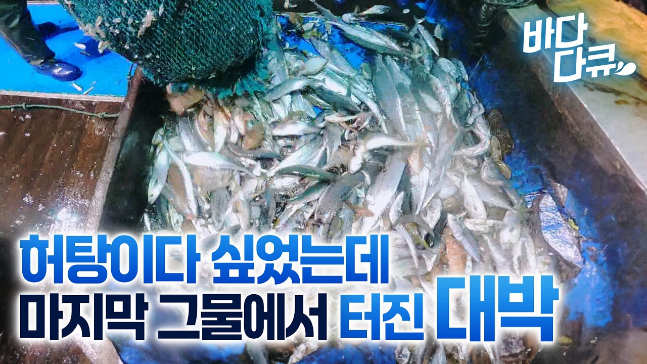 버티길 잘했다. 최후의 그물에 걸려든 500만원! 바다 위에서 펼쳐지는 겨울 대삼치 열전 / #바다다큐