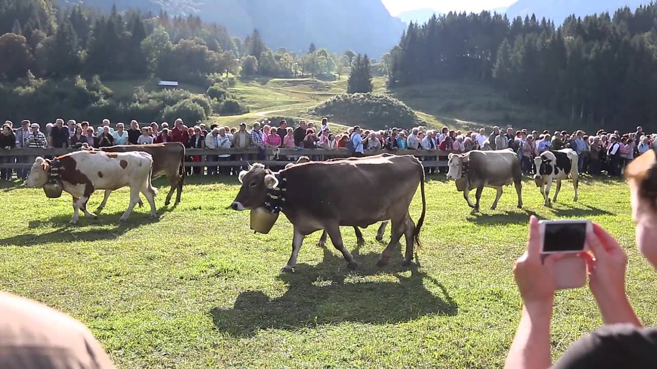 Viehscheid Oberstdorf 2015