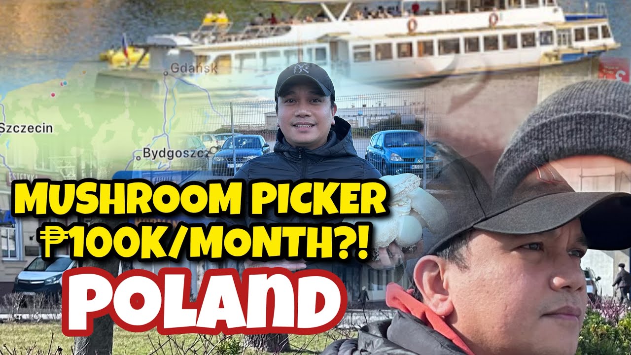 MUSHROOM PICKER + ₱100K/MONTH? | ankol joe