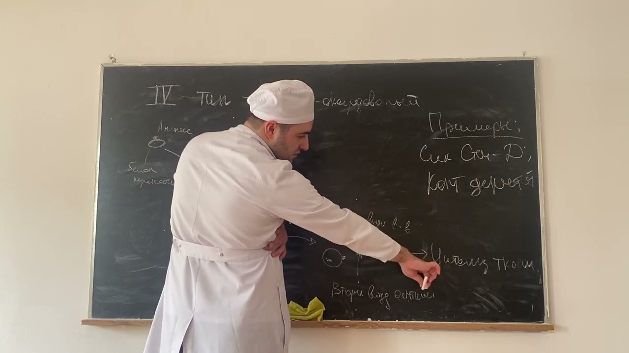 Реакция гиперчувствительности 4 типа