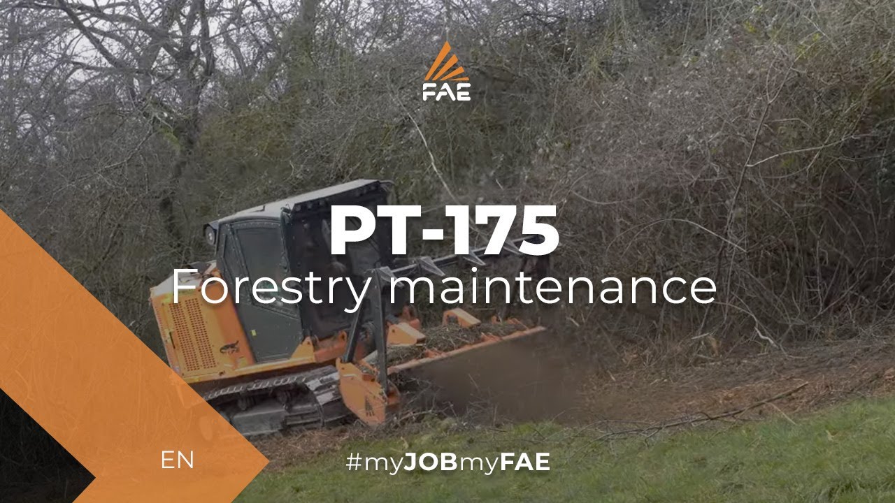 FAE PT-175 tracked carrier with forestry mulcher - The best solution in light/medium application