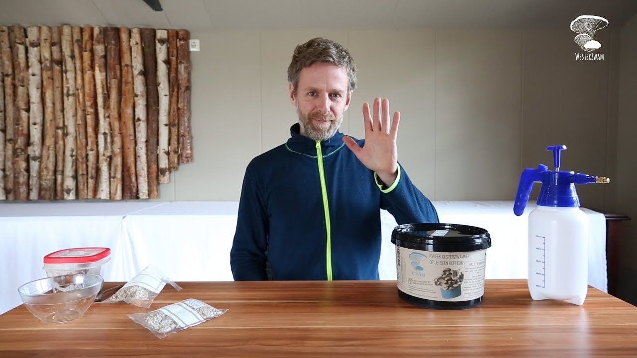 Goed koffiedik voor je WesterZwam Growkit