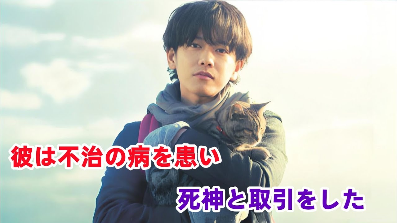 もし世界から大切なものが一つずつ消えたら…あなたは命を選びますか？😭【映画紹介 】世界から猫が消えたなら#movie #film #映画