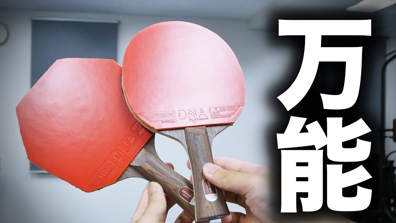 ガチで木材っぽいカーボンラケットを発見してしまった