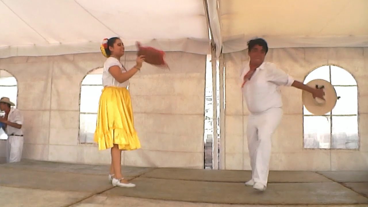 El zopilotito