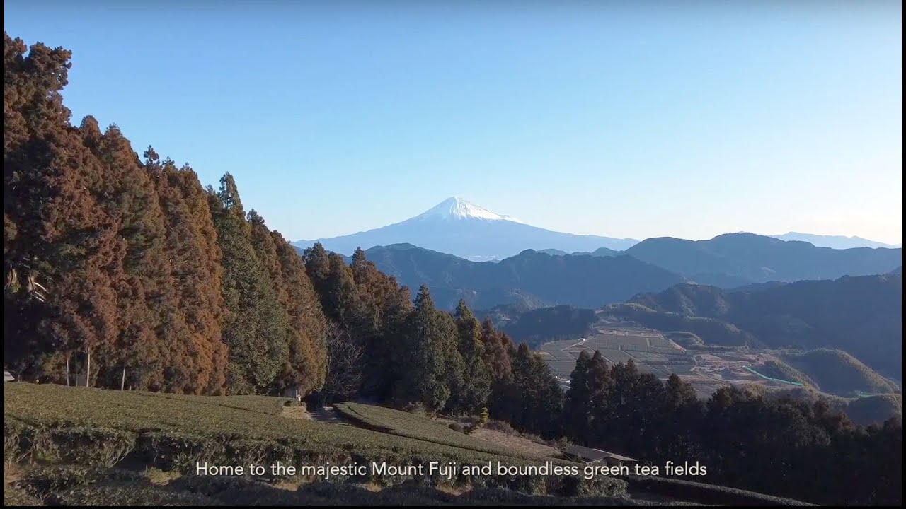 Visit Suruga: Boundless Green
