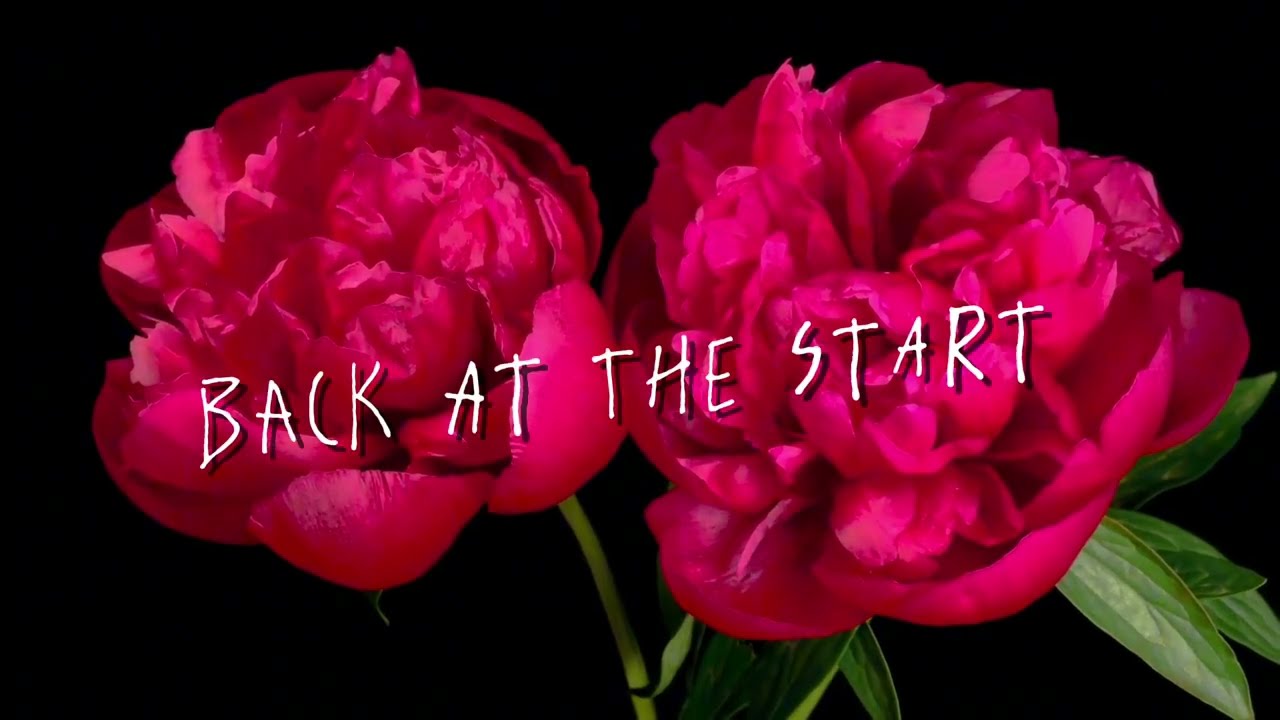 Back Here Again - Original Song - Sybils Songs