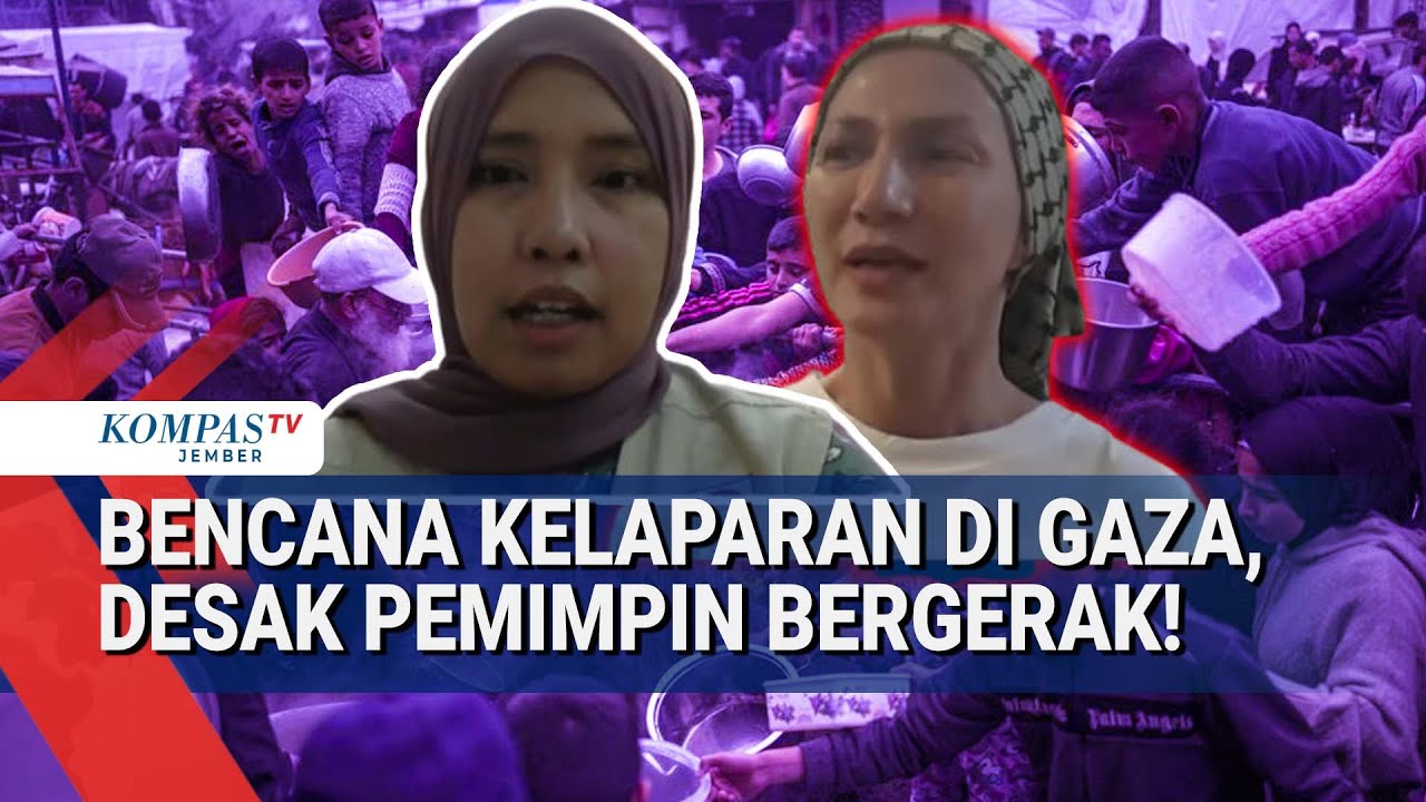 Relawan Ungkap Kondisi Gaza: Bantuan Dijarah, Warga Berebut Makanan