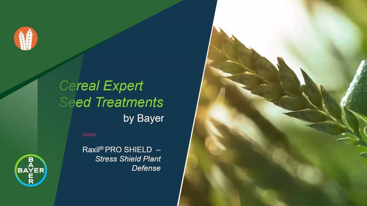 Raxil PRO SHIELD CEU Accredited Training Video