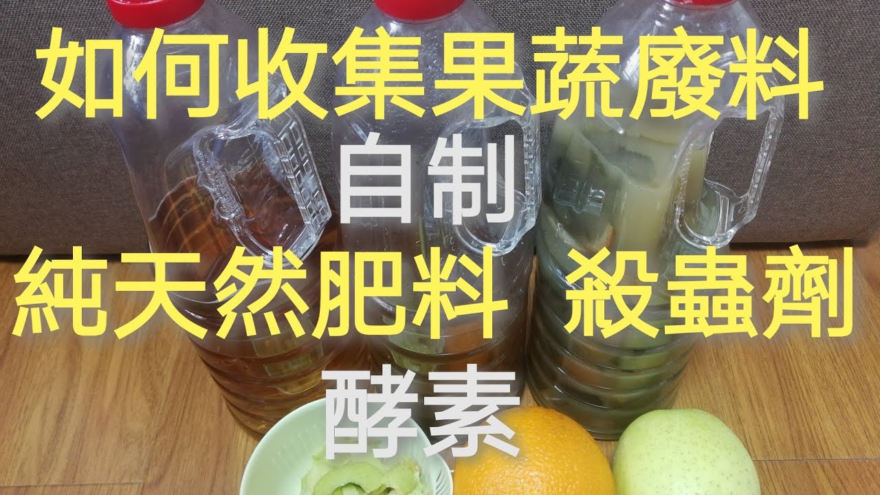 酵素制作，純天然殺蟲劑，純天然肥料，如何收集果蔬廢料6/4/2020