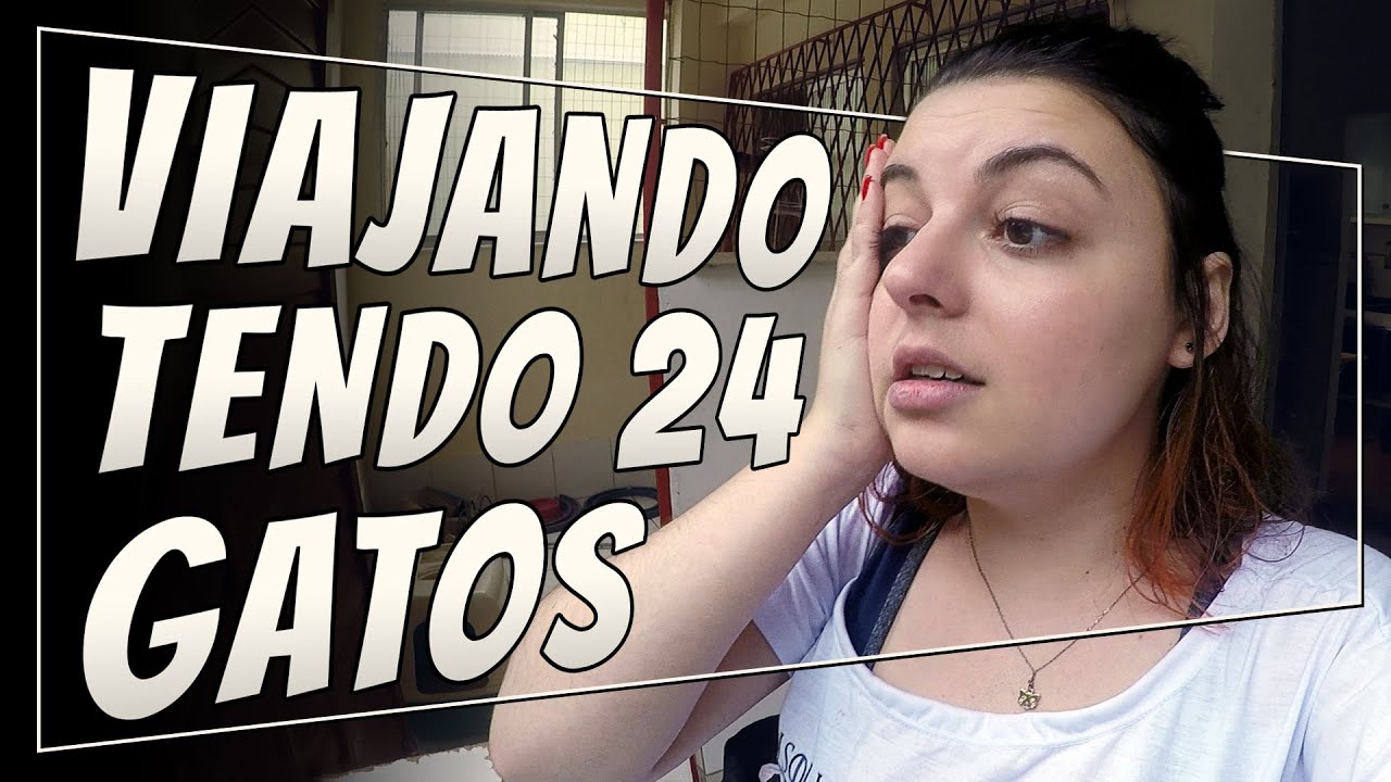 Como viajar tendo gatos | VIDA de GATEIRA #06