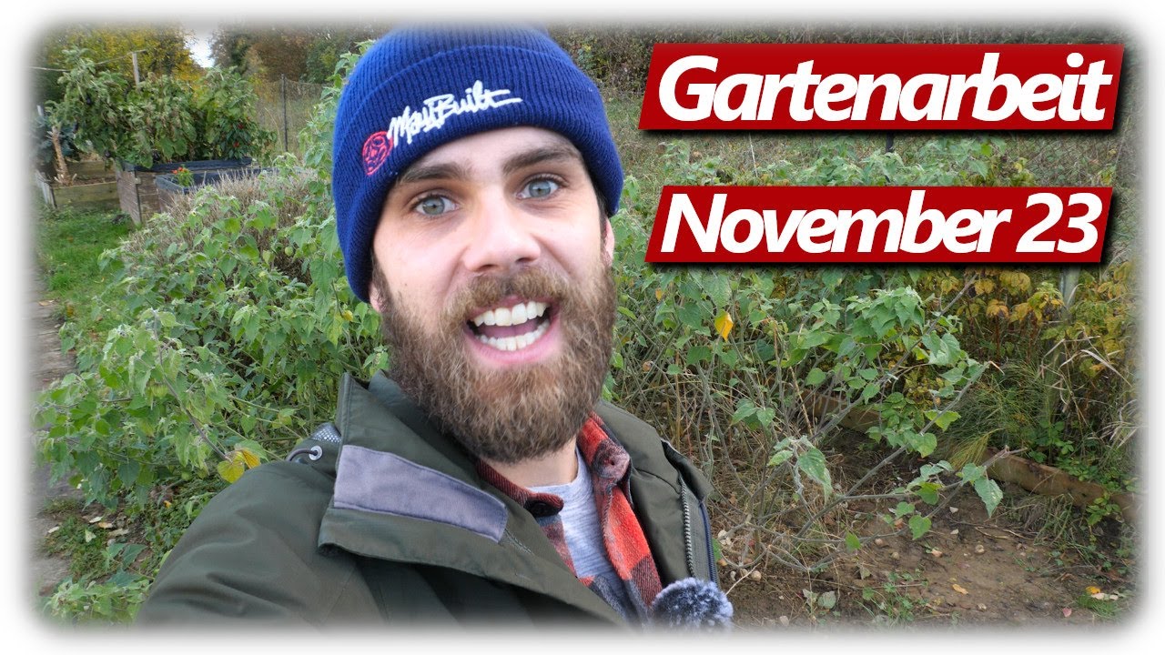 Gartenarbeit November | Chili Jahresbedarf, Physalis, Feigen | Gemüsegarten mit Hochbeeten abernten