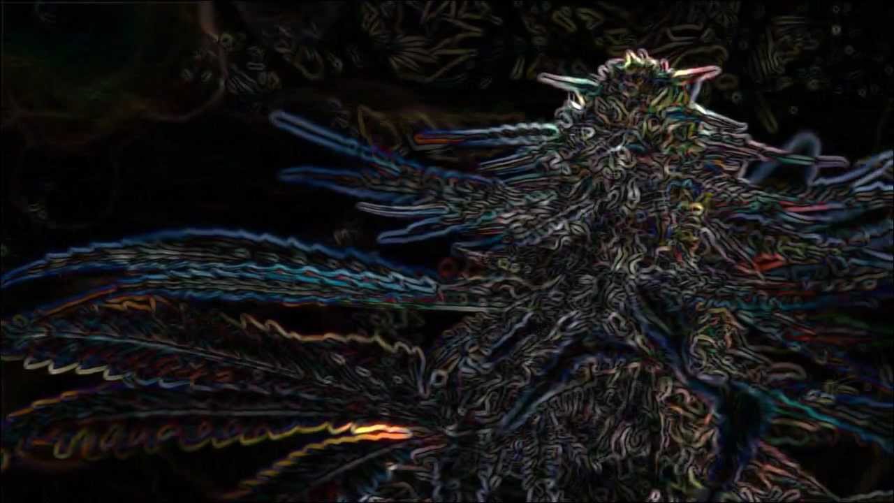 Unconscious Perception - Analog 2 Digital Ft. Cyberex (Official Video)