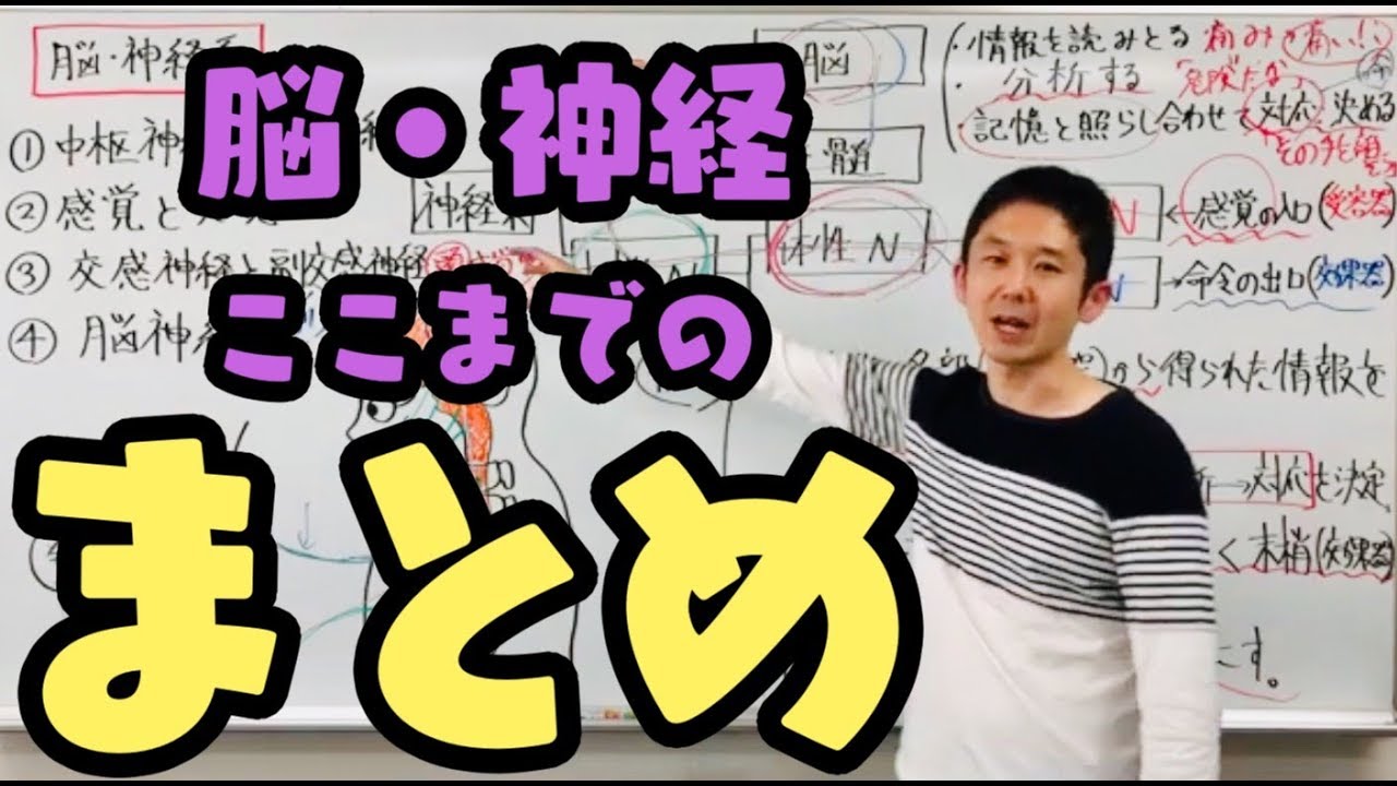 脳・神経系のここまでのまとめ【第７３回】