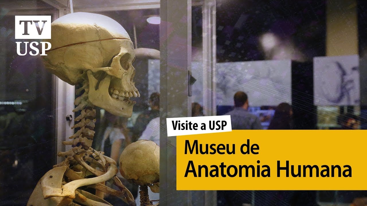 ▶ Visite a USP | Museu de Anatomia Humana