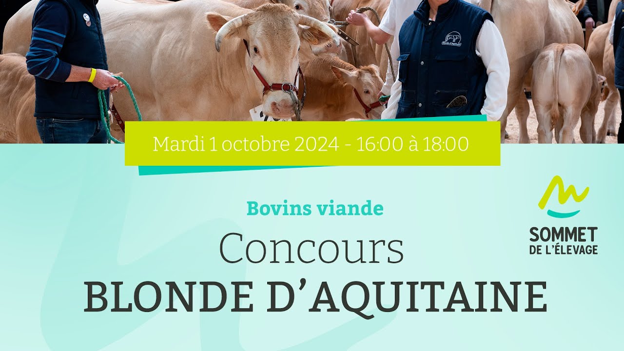 Sommet de l'élevage 2024 - Concours Blonde d'Aquitaine - Bovins viande - 01/10/2024