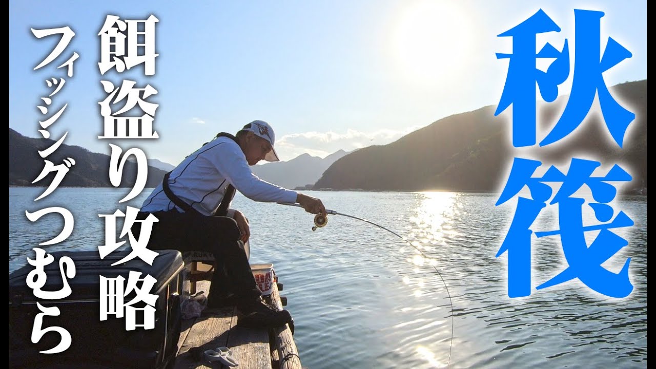 楽しいちぬ釣り #56 秋冷の黒鯛かかり釣り 三重 矢口浦 开心钓黑鲷 Extreme Bream Fishing
