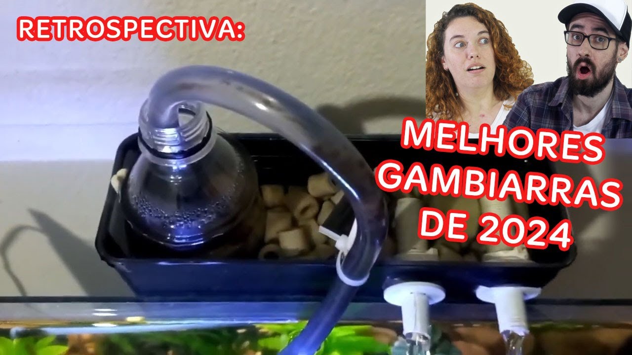 Os AQUÁRIOS com as MELHORES GAMBIARRAS de 2024!