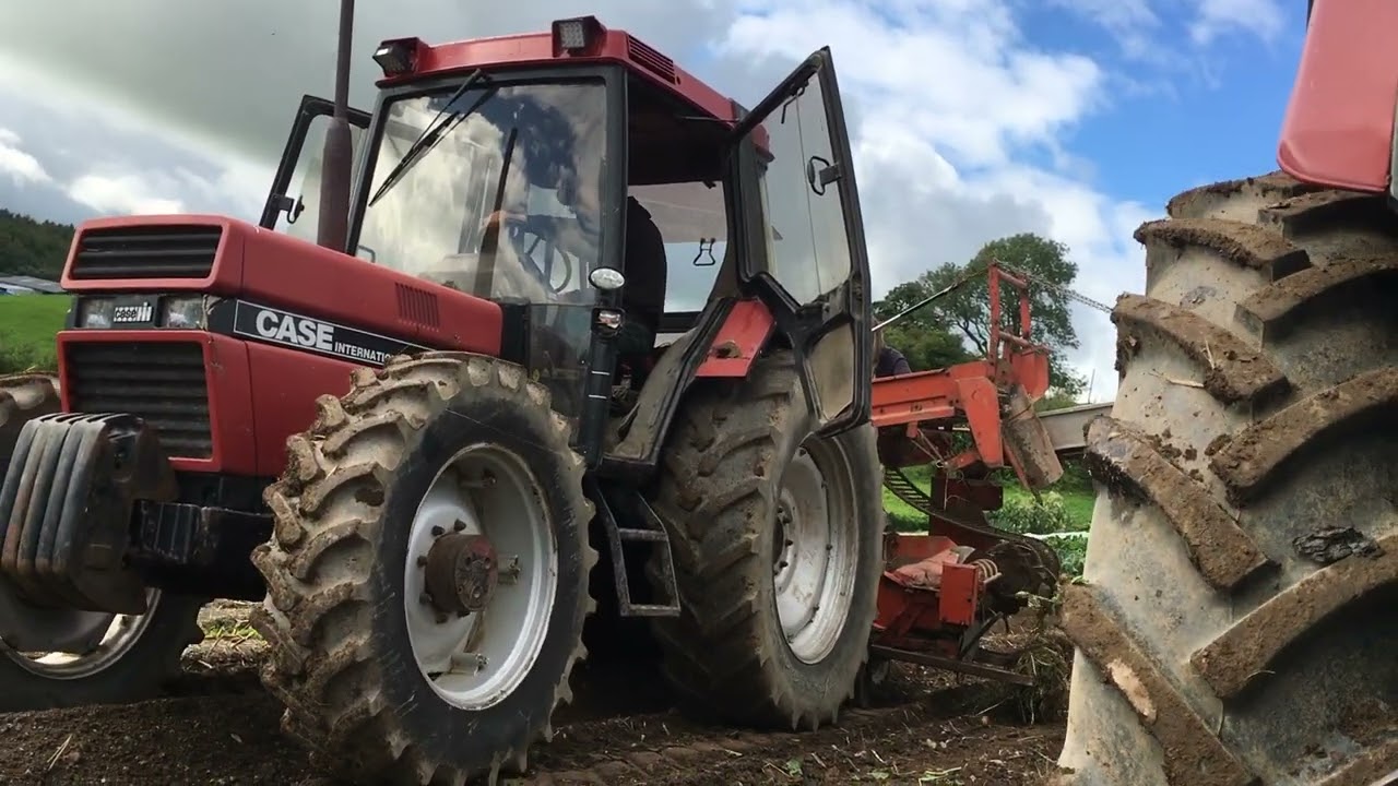 Organic potato harvest 2020