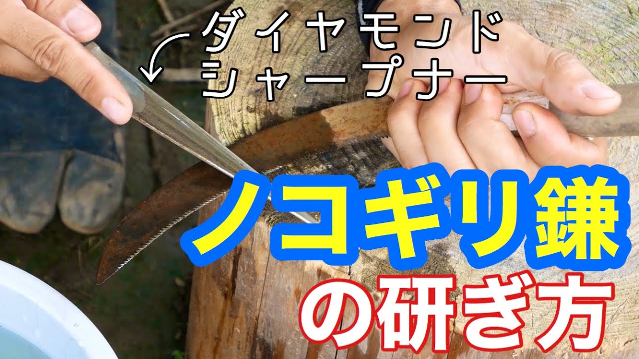 ノコギリ鎌の研ぎ方と切れ味の比較【農具の手入れ】2020年7月31日