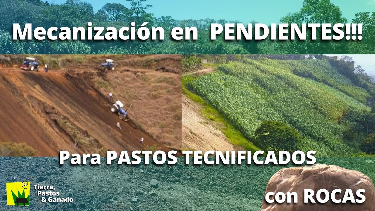 Cómo Mecanizar en Pendientes Rocosas para Pastos