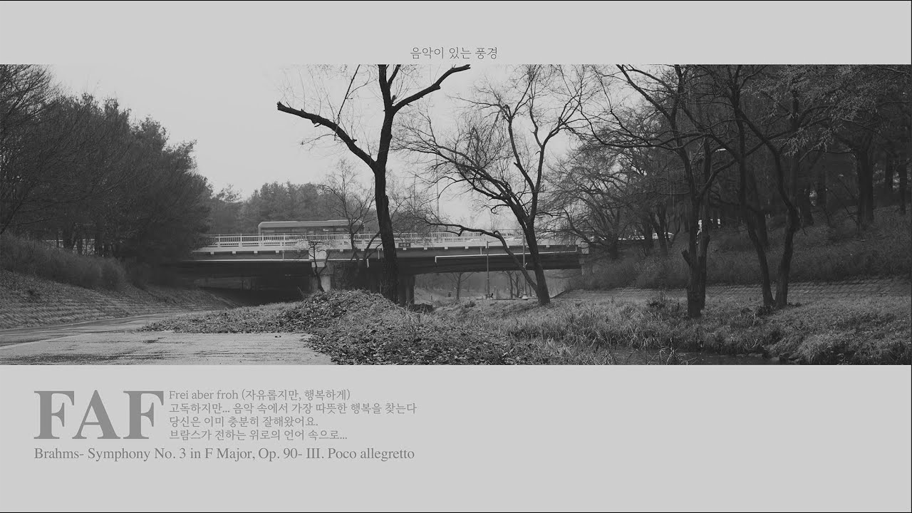 [음악이 있는 풍경] Frei aber froh - Brahms- Symphony No. 3 in F Major, Op. 90- III. Poco allegretto #FAF