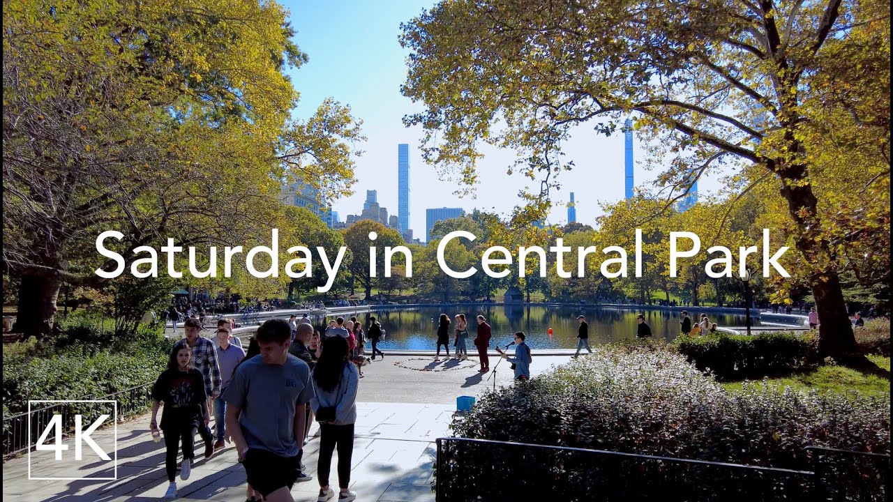 Sunny Fall Day Walking in Central Park, New York City | 4K