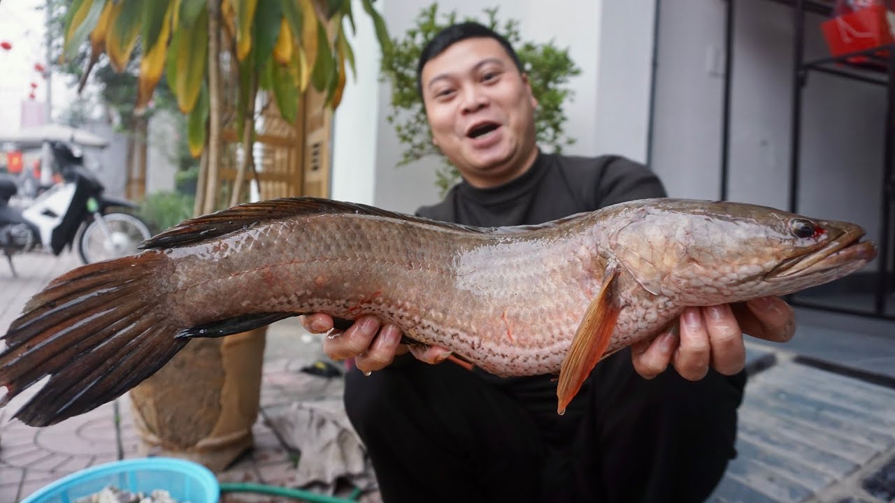 CÂU ĐƯỢC CÁ TRÈO ĐỒI QUÁ KHỦNG - NƯỚNG LÊN CÙNG ANH EM THƯỞNG THỨC / CƠM QUÊ TV 