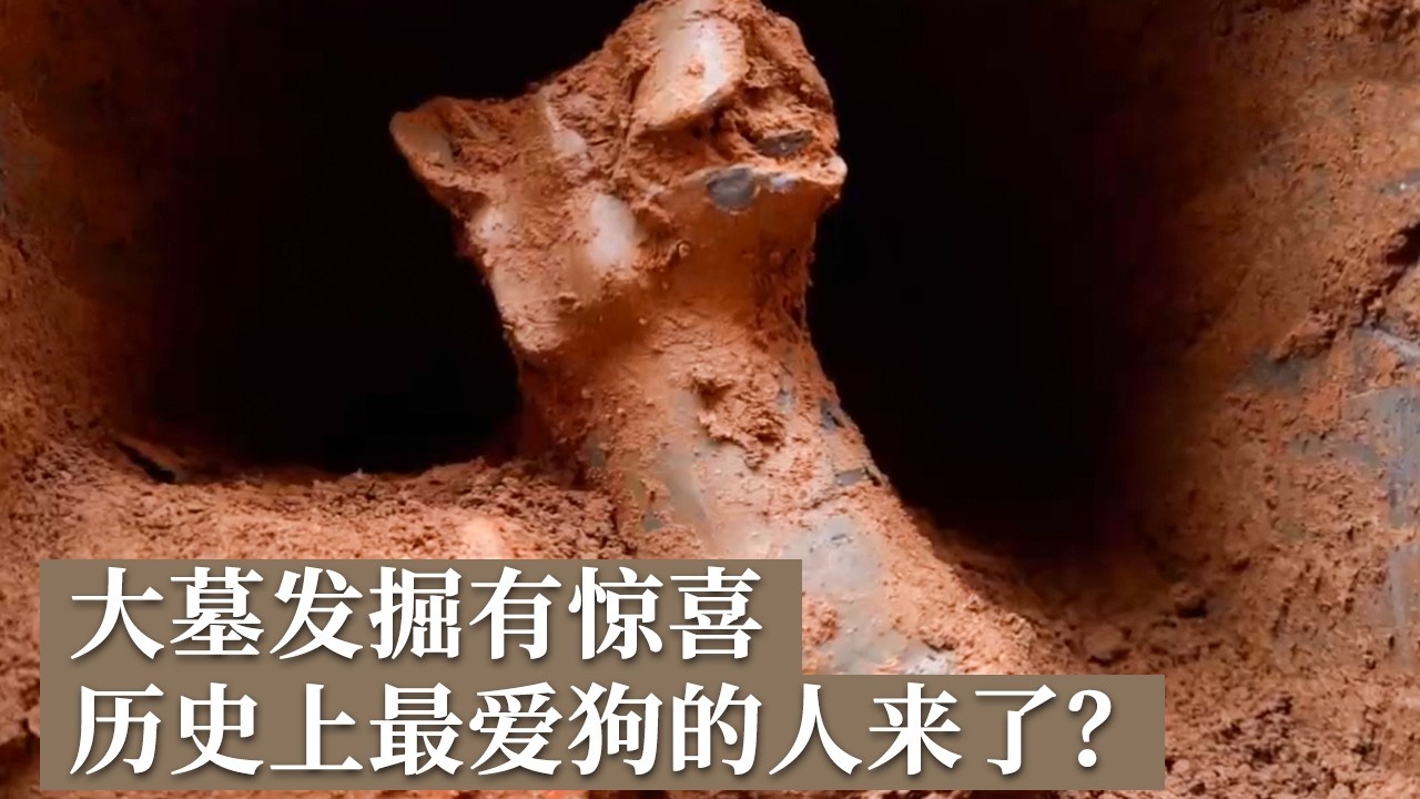 大墓屡遭洗劫 青铜器却侥幸留存 历史上最爱狗的时期出现了 多个陶狗接二连三被发现！《探索&middot;发现》2026考古进行时：宛城墓群发掘纪实（2）丨 中华国宝