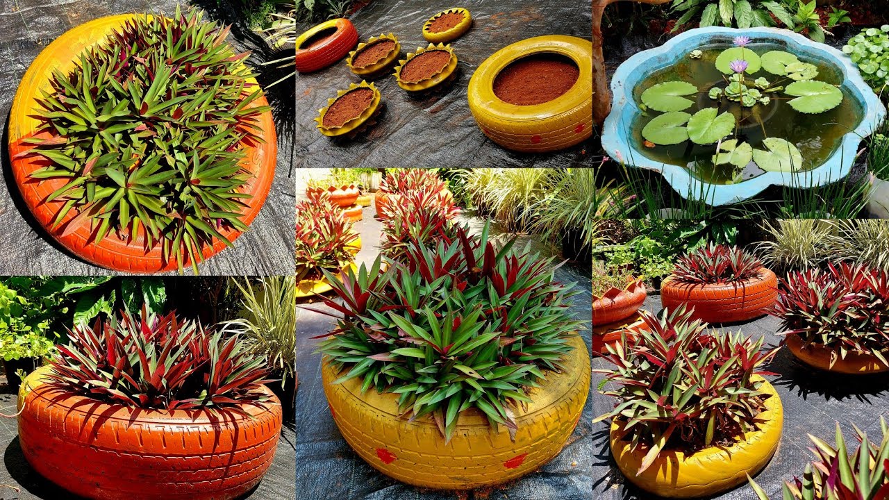 Garden makeover video / Tire Garden