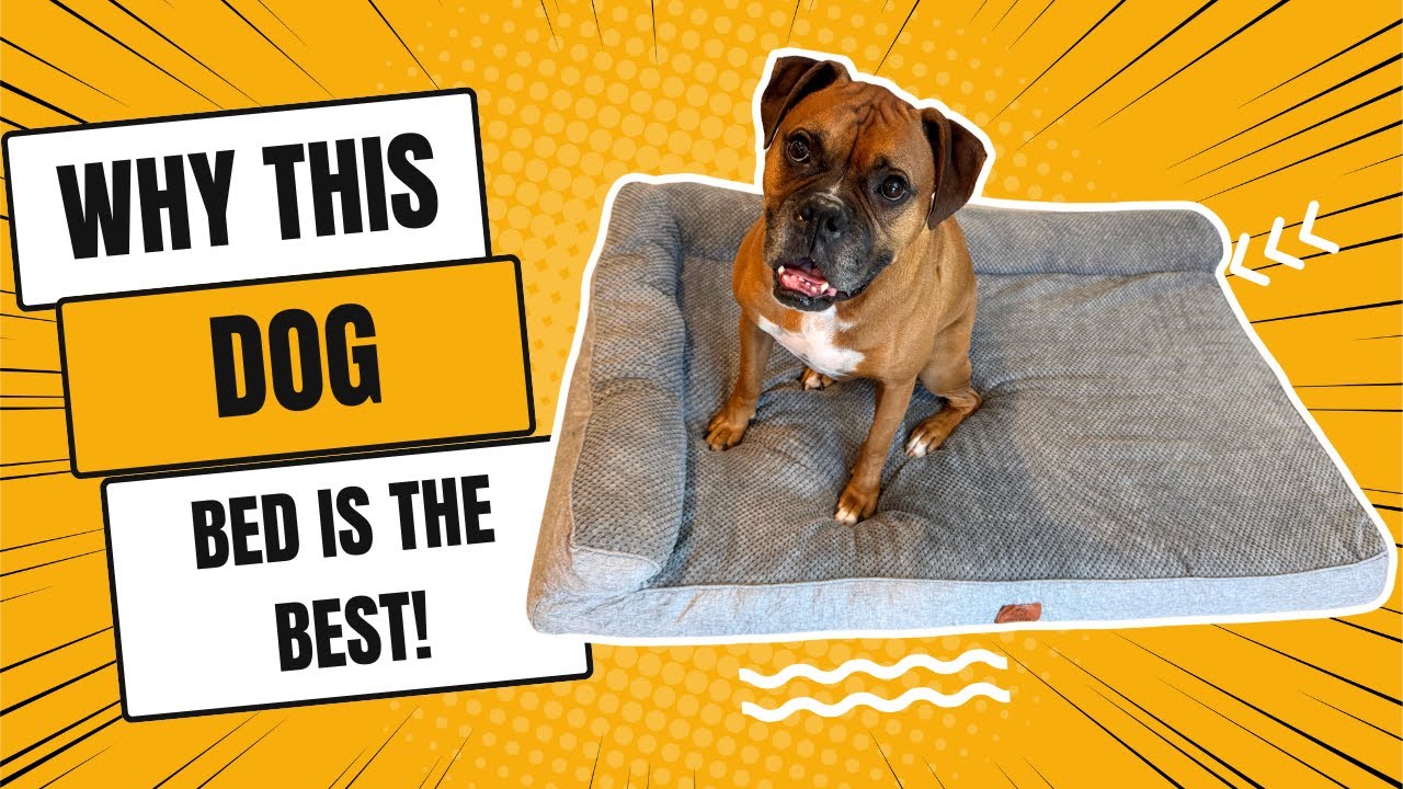 Review of this Dog Bed